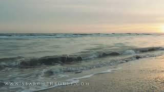 Search The Gulf. Gulf Coast Homes. Sotheby's International Realty