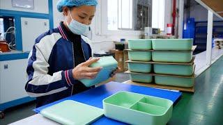 Wheat Straw Plastic Lunch Box Manufacturing Process. Plastic Injection Molding Factory in China
