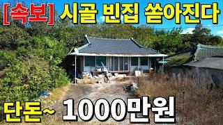 시골 빈집이 쏟아진다~ 단돈 1,000만원! 빈집 벌금 무섭고~ 안팔려서 못버틴다! 2019년에 수리된 시골집 공짜나 다름없이 가져가세요