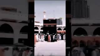 'Hasbi Rabbi Jallah Mafi Qalbi GhayrUllah'_____|yt islamic shortvideo Naat|status// Areeba Islamic.