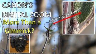 Digital Zoom for (Some) Canon R Series Cameras: A Hidden Gem of a Video Feature!