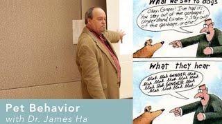 Pet Behavior with Dr. James Ha