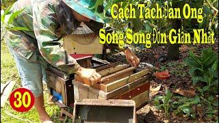 cách tách đàn ong song song đơn giản nhất