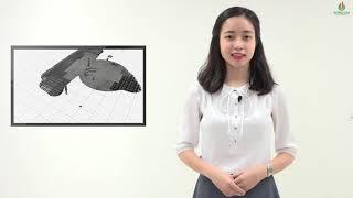 Bản tin truyền hình Intracom tháng 06/2019 I Intracom Group
