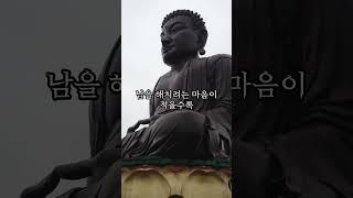마음을 다스리면  #부처님 #진리 #명언