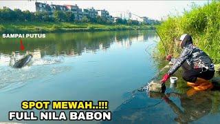 MANCING Ganas nya Bukan main ikan Nila di Spot ini Senar sampei putus di hajar ikan Besar