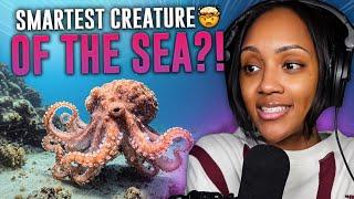 THIS IS AWFUL! | CASUAL GEOGRAPHIC | Animals that Got the Middle Finger from Evolution | REACTION