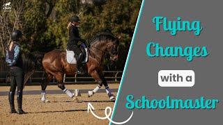 Flying Changes on a Schoolmaster