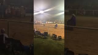 Colt bull riding 9/17