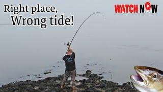 SHORE FISHING UK - RIGHT PLACE, WRONG TIDE - FISHING FOR COD AND BASS