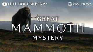 Great Mammoth Mystery | Full Documentary | NOVA | PBS