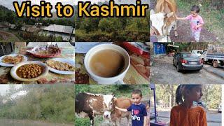 My visit to kashmir vlog️enjoyed a lot