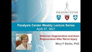 Wallerian Degeneration and Axon Regeneration After Nerve Injury - Mary F. Barbe, PhD