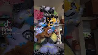 Did you ever watch veggie tails? #furry #tiktok #fursuiters #fursuit #furryshorts #viral