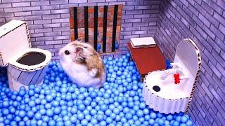Hamster escapes the awesome maze for Pets in real life  in Hamster stories Part 2