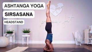 Sirsasana | Headstand For Beginners | Ashtanga Primary Series 2024