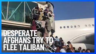 Desperate Afghans Try to Flee Taliban Insurgents at Kabul Airport | 10 News First