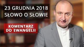 Ewangelia wg św. Łukasza 1, 39-45 | Ks. Mariusz Rosik