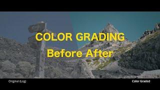 Color Grading Before  After / Nikon Z9 N-RAW