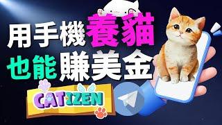 2024年最新手機賺錢方法，你絕對沒見過的賺錢方法！手机养猫竟然可以赚钱?!  告诉你手机养猫赚美金的方法！Catizen手機養貓，一邊養寵物一邊賺錢！