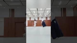 Aikido - practice father and son