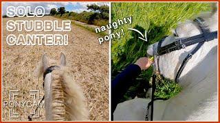 First Solo Stubble Field Canter! || GoPro