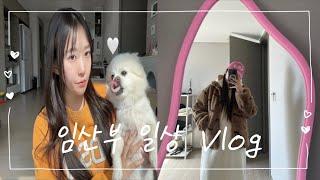 [VLOG] 임산부 브이로그(입덧약끊기,임당검사준비,발란스핏압박밴드허벅지,슬릭컷,홈플런)