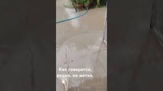 у нас очень редко бывают дожди в июне. это прям праздник для нас)