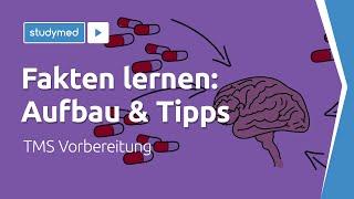 Fakten lernen (Aufbau & Tipps) - TMS Vorbereitung