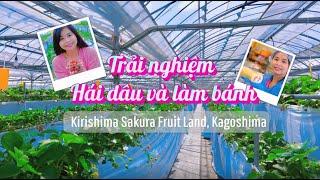 Trải nghiệm hái dâu và làm bánh tại Kirishima Sakura Fruit Land, tỉnh Kagoshima, Nhật Bản