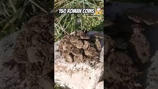 150 ROMAN COINS IN ONE HOLE !! #metaldetecting #treasurefind #deus ##roman #coin #treasure #history