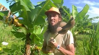 Screw your Soil with KNF
