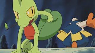 Treecko vs. Hariyama! | Pokémon Advanced | Official Clip