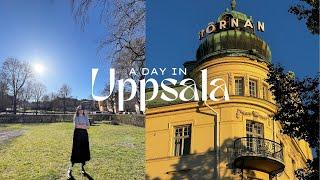 Walk  around Uppsala | Uppsala Cathedral | A quick visit to Flying Tiger and Adlibris