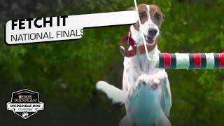 Incredible Dog Challenge: Fetch It National Finals | NBC Sports