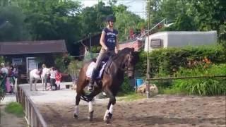 Stangenarbeit mit SAPHIR am 08.07.2016