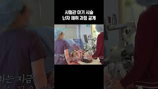 시험관 시술 난자 채취 과정ㄷㄷ