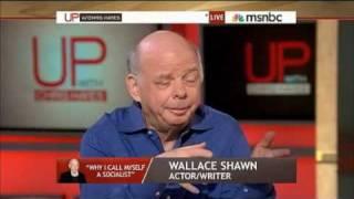 Wallace Shawn_ Why I Call Myself a Socialist