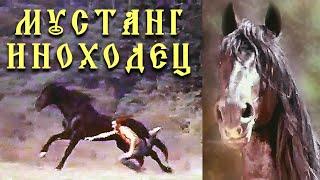 МУСТАНГ- ИНОХОДЕЦ / Фильмы о лошадях