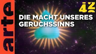 Welche Macht haben Gerüche?  | 42 - Die Antwort auf fast alles | ARTE