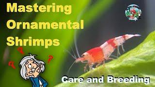 Mastering Ornamental Shrimps - Create the perfect aquarium environment for thriving and breeding