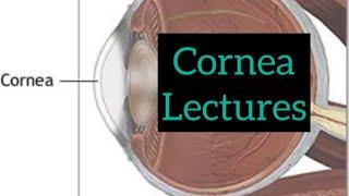 Cornea lectures part 3, Eye / opthalmology lectures #eyelectures #opthalmology #eye #cornea