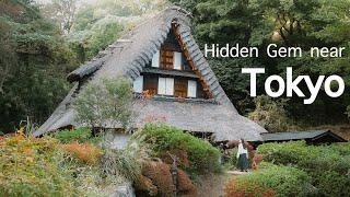 Hidden Gem near Tokyo| Japan Folk House Museum| Japan Travel Vlog| Day trip from Tokyo