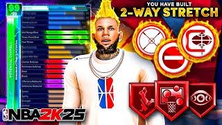 *UPDATED* BEST PARK SHOOTING CENTER BUILD NBA 2K25! ALL-AROUND COMP BIG MAN BUILD!