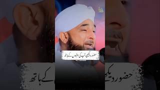 Hazrat Zainab Ke Dard Bhary Alfaz | Raza Saqib Mustafai Status | #shorts