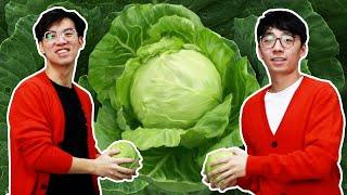 Cabbage