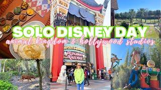 Solo Disney Day at Animal Kingdom & Hollywood Studios