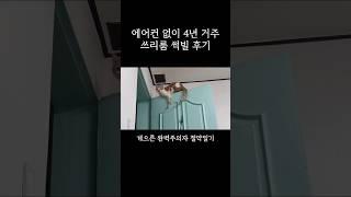 옥색 인테리어 이런 집 어때요? 에어컨 없이 4년 거주 #여자 #자취 #1인가구 #썩빌 #전세 #전세대출 #부동산 #절약 #절약브이로그 #shorts