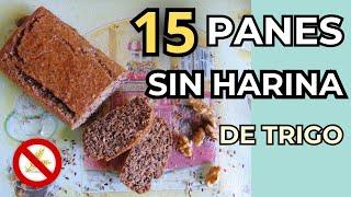  15 Ideas de Pan SIN CULPA y SIN HARINA de Trigo