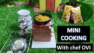 Chef Ovi's Miniature Cooking challenge|tiny food | mini maggi |Mini cooking show\miniature food